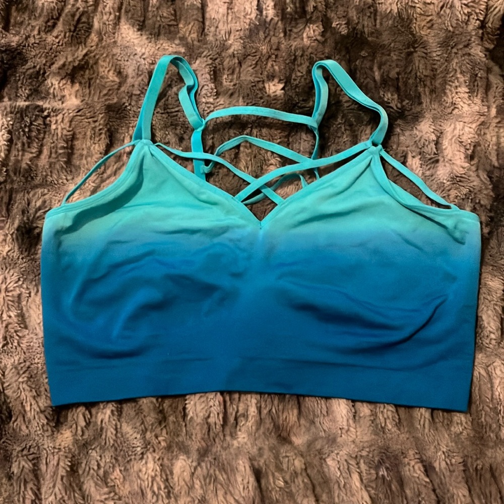 Blue Ombré Sports Bra